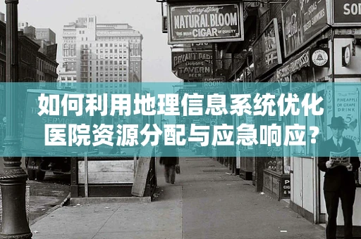 如何利用地理信息系统优化医院资源分配与应急响应？