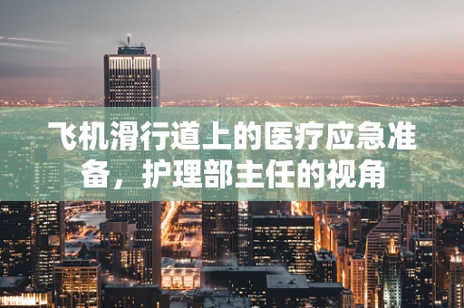 飞机滑行道上的医疗应急准备，护理部主任的视角