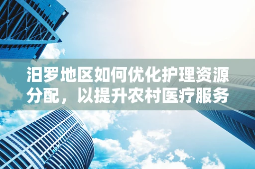 汨罗地区如何优化护理资源分配，以提升农村医疗服务质量？