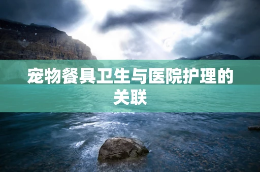宠物餐具卫生与医院护理的关联