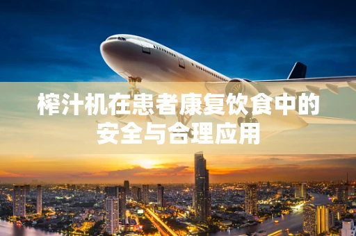 榨汁机在患者康复饮食中的安全与合理应用