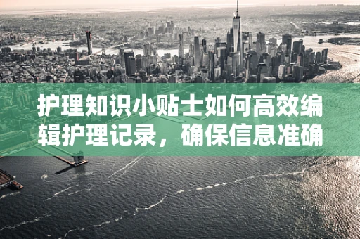 护理知识小贴士如何高效编辑护理记录，确保信息准确无误？