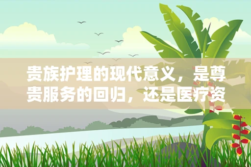贵族护理的现代意义，是尊贵服务的回归，还是医疗资源的不均体现？