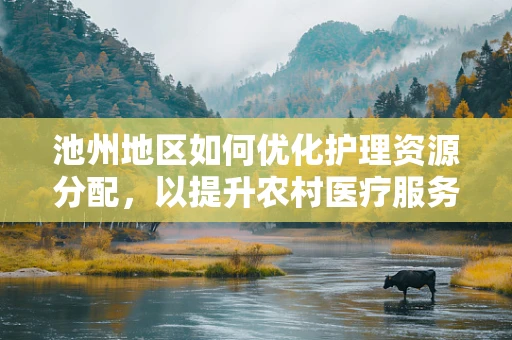 池州地区如何优化护理资源分配，以提升农村医疗服务质量？