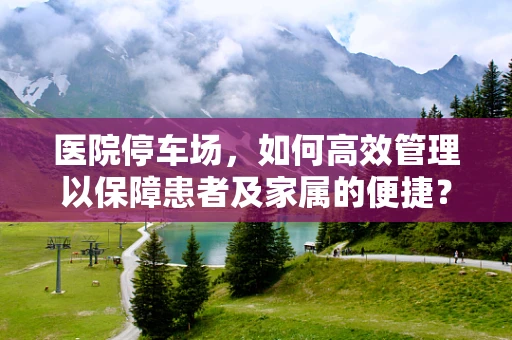医院停车场，如何高效管理以保障患者及家属的便捷？