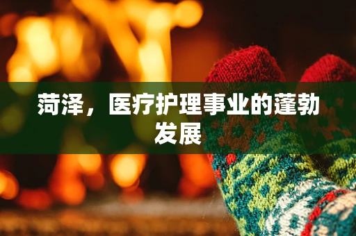 菏泽，医疗护理事业的蓬勃发展