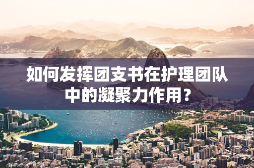 如何发挥团支书在护理团队中的凝聚力作用？