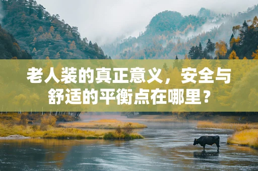 老人装的真正意义，安全与舒适的平衡点在哪里？