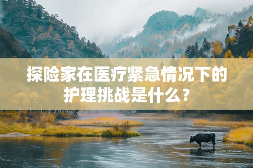 探险家在医疗紧急情况下的护理挑战是什么？