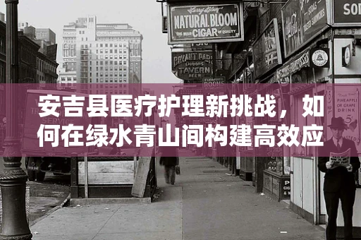 安吉县医疗护理新挑战，如何在绿水青山间构建高效应急护理体系？