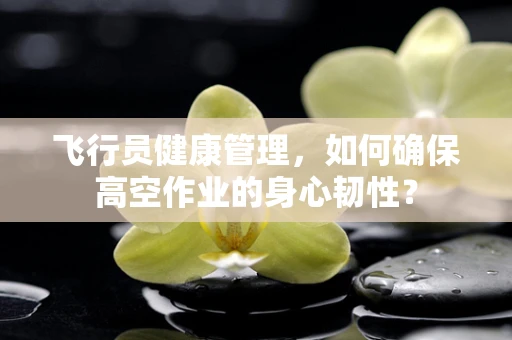 飞行员健康管理，如何确保高空作业的身心韧性？