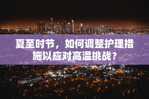 夏至时节，如何调整护理措施以应对高温挑战？