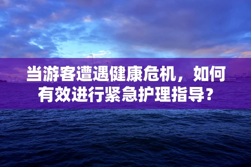 当游客遭遇健康危机，如何有效进行紧急护理指导？