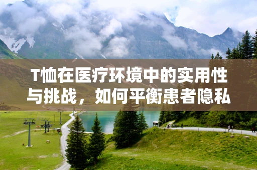 T恤在医疗环境中的实用性与挑战，如何平衡患者隐私与护理人员的舒适？