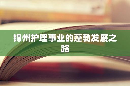 锦州护理事业的蓬勃发展之路