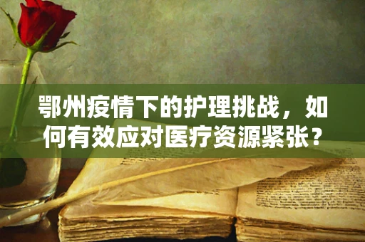 鄂州疫情下的护理挑战，如何有效应对医疗资源紧张？