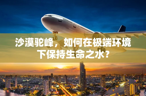 沙漠驼峰，如何在极端环境下保持生命之水？