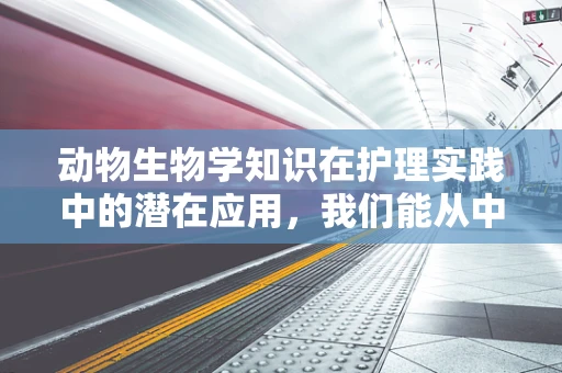动物生物学知识在护理实践中的潜在应用，我们能从中学到什么？