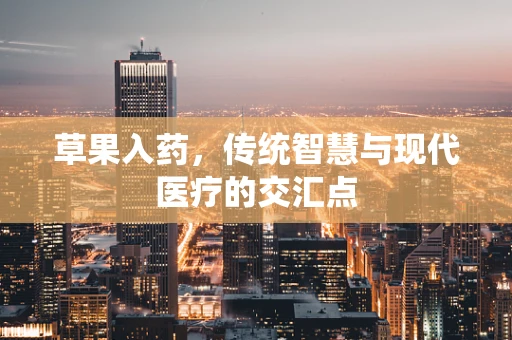 草果入药，传统智慧与现代医疗的交汇点