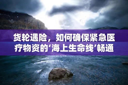 货轮遇险，如何确保紧急医疗物资的‘海上生命线’畅通无阻？