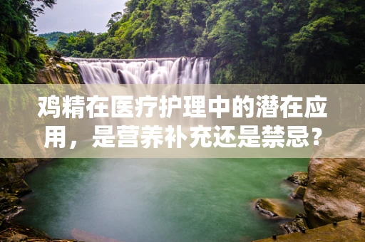 鸡精在医疗护理中的潜在应用，是营养补充还是禁忌？