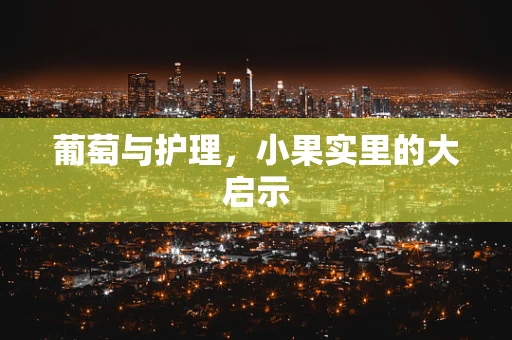 葡萄与护理，小果实里的大启示