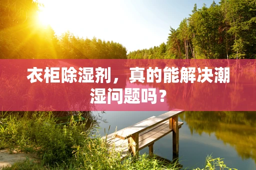衣柜除湿剂，真的能解决潮湿问题吗？