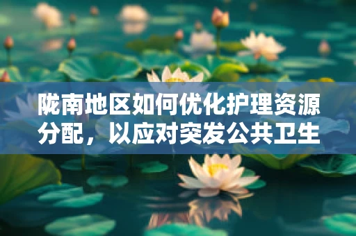 陇南地区如何优化护理资源分配，以应对突发公共卫生事件的挑战？
