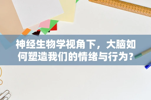 神经生物学视角下，大脑如何塑造我们的情绪与行为？