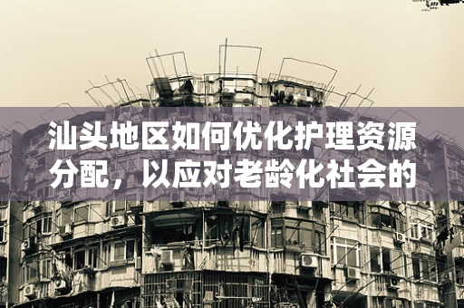 汕头地区如何优化护理资源分配，以应对老龄化社会的挑战？