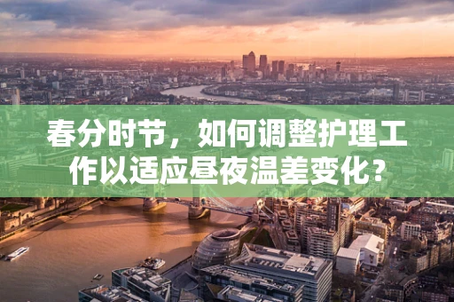 春分时节，如何调整护理工作以适应昼夜温差变化？