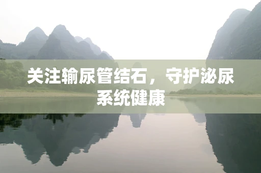 关注输尿管结石，守护泌尿系统健康