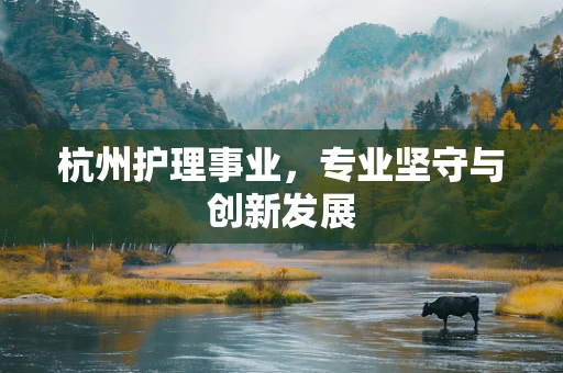 杭州护理事业，专业坚守与创新发展