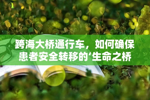 跨海大桥通行车，如何确保患者安全转移的‘生命之桥’？