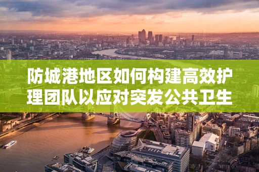 防城港地区如何构建高效护理团队以应对突发公共卫生事件？