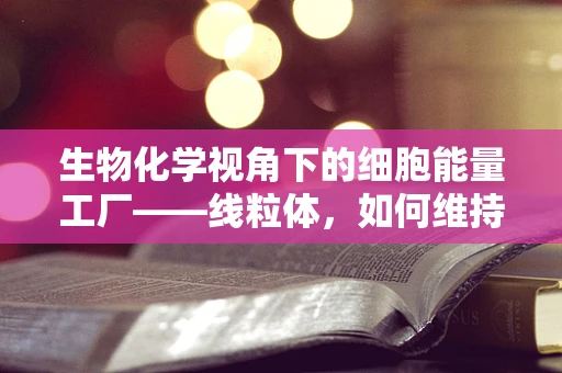 生物化学视角下的细胞能量工厂——线粒体，如何维持其高效运作？