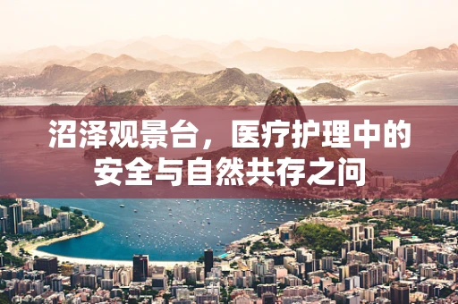 沼泽观景台，医疗护理中的安全与自然共存之问