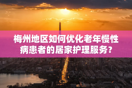 梅州地区如何优化老年慢性病患者的居家护理服务？