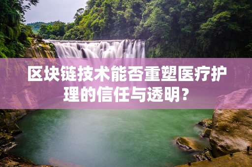 区块链技术能否重塑医疗护理的信任与透明？