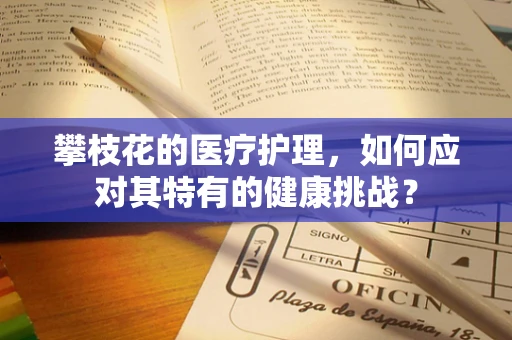 攀枝花的医疗护理，如何应对其特有的健康挑战？