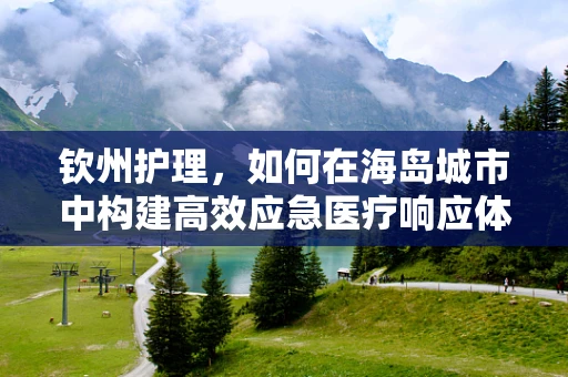 钦州护理，如何在海岛城市中构建高效应急医疗响应体系？