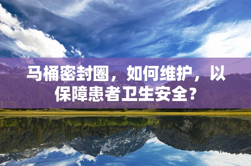 马桶密封圈，如何维护，以保障患者卫生安全？
