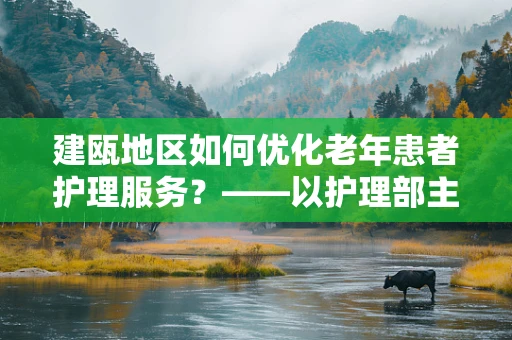 建瓯地区如何优化老年患者护理服务？——以护理部主任视角的探讨