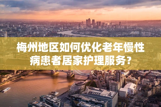 梅州地区如何优化老年慢性病患者居家护理服务？