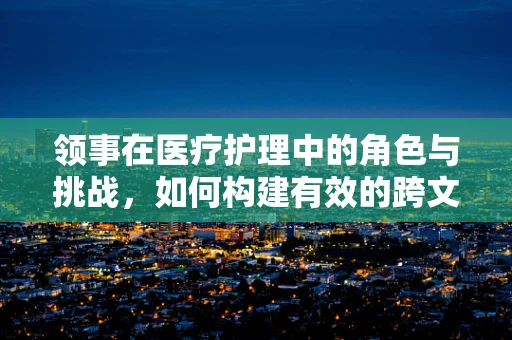 领事在医疗护理中的角色与挑战，如何构建有效的跨文化沟通桥梁？