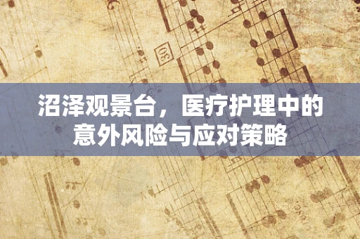 沼泽观景台，医疗护理中的意外风险与应对策略