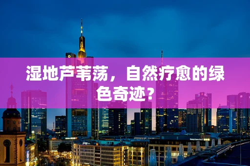 湿地芦苇荡，自然疗愈的绿色奇迹？