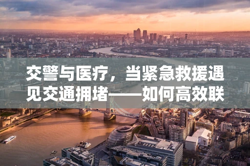 交警与医疗，当紧急救援遇见交通拥堵——如何高效联动？