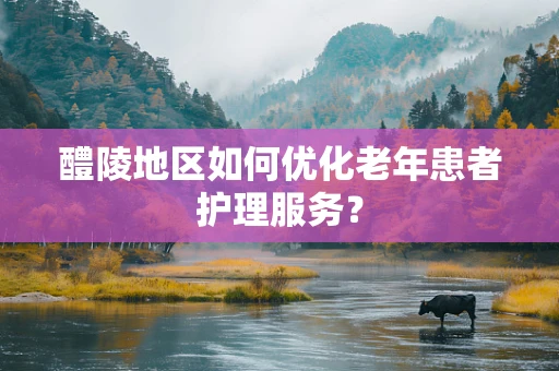 醴陵地区如何优化老年患者护理服务？