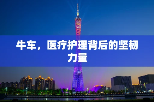 牛车，医疗护理背后的坚韧力量